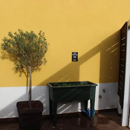 Loft Prestige شقة فندقية 3*